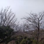 山側よりの眺望